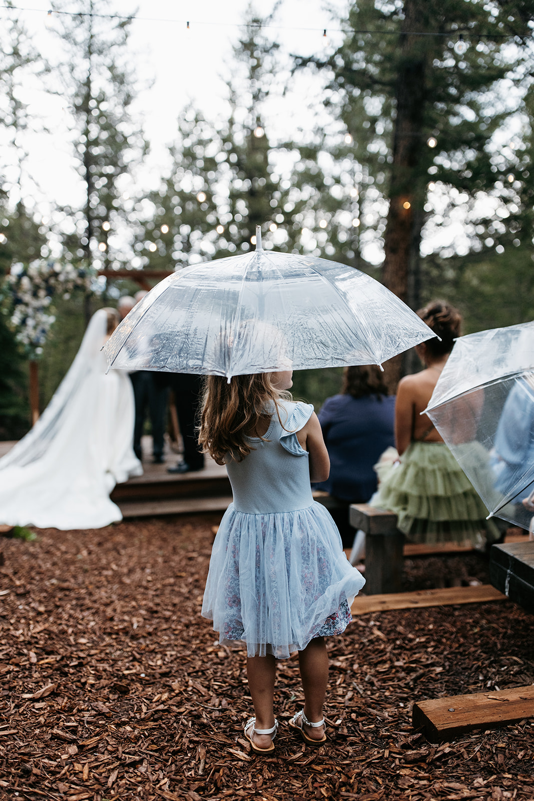 Katie & Scott intimate forest wedding ceremony Evergreen Colorado