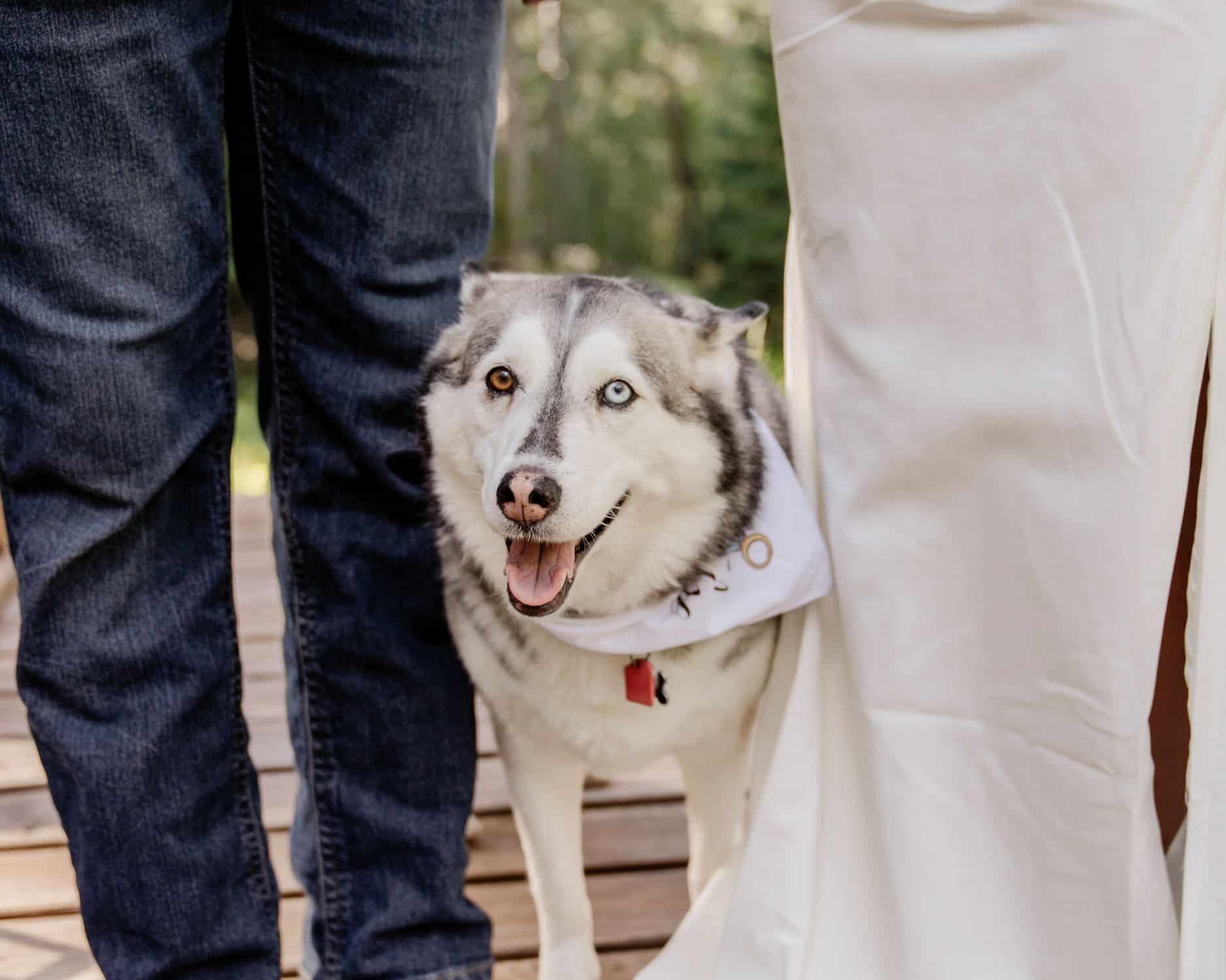 Sam and Cody pose with their dog Nikita after their Evergreen Colorado wedding ceremony at Juniper Lodge & Treehouses.