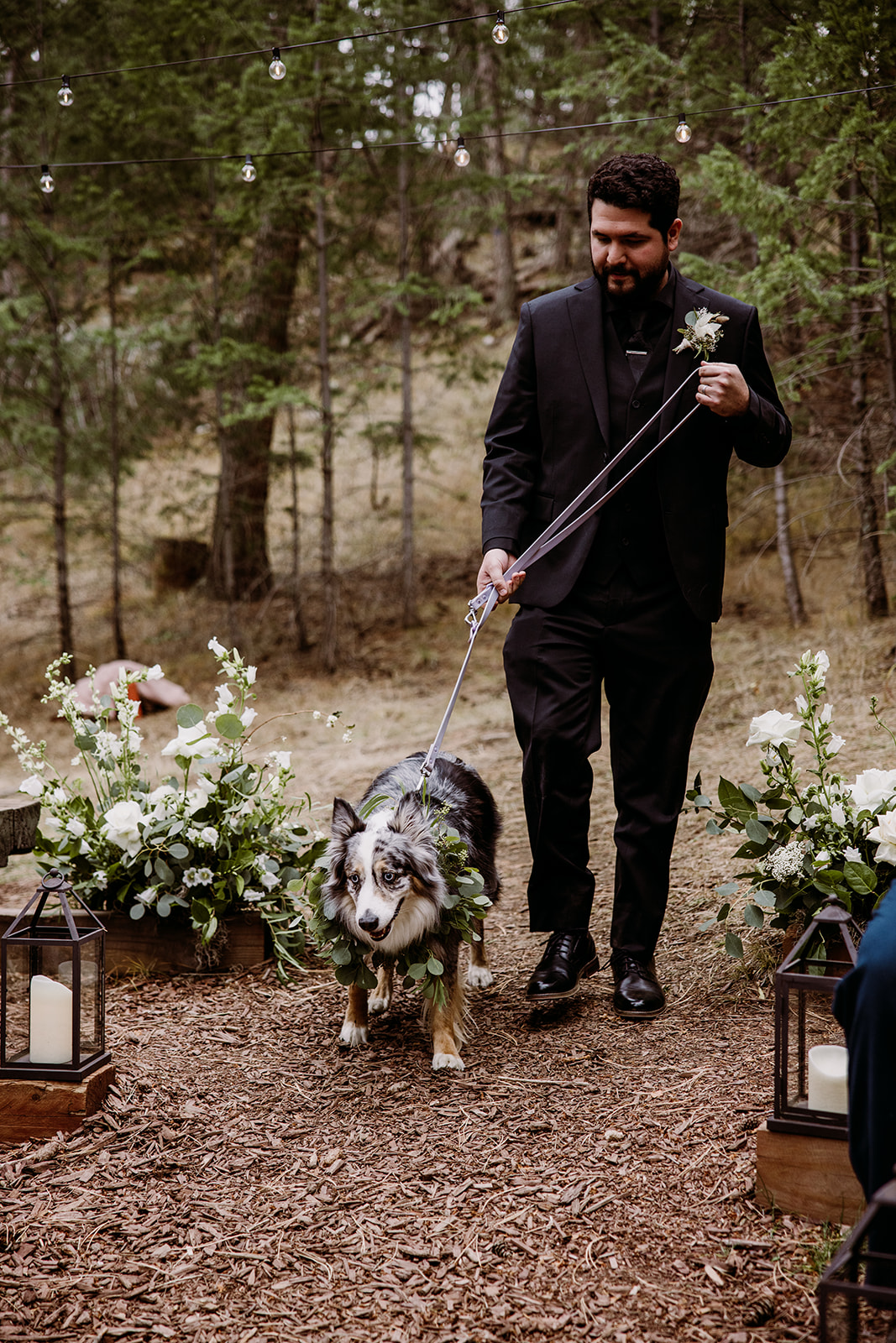 Wedding dogs walking down the aisle in Colorado