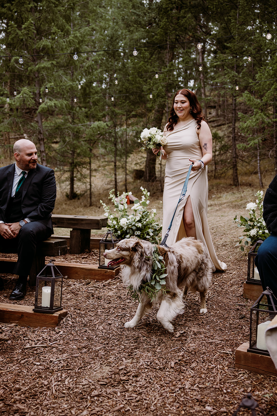 Wedding dogs walking down the aisle in Colorado